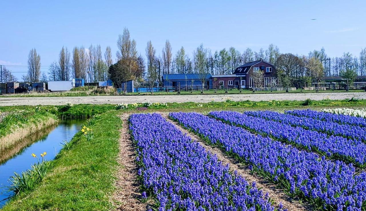 Het Dijkstuk Villa Noordwijkerhout Dış mekan fotoğraf