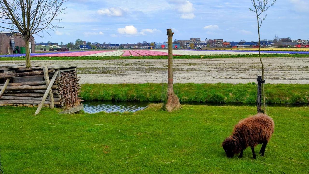 Het Dijkstuk Villa Noordwijkerhout Dış mekan fotoğraf