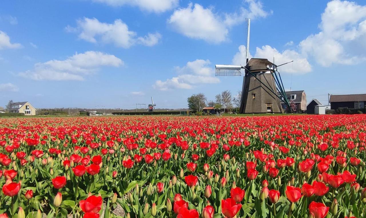 Het Dijkstuk Villa Noordwijkerhout Dış mekan fotoğraf